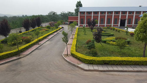 EPS線條產(chǎn)品是什么？